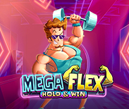 Mega Flex: Hold & Win